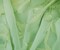 Light Green-Gold-Silver Nylon Metallic Floral Organza Woven Fabric By the Yard